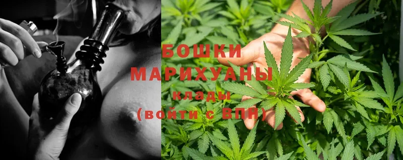 наркота  KRAKEN зеркало  МАРИХУАНА OG Kush  Кедровый 